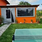 Berni Проживание в семье *