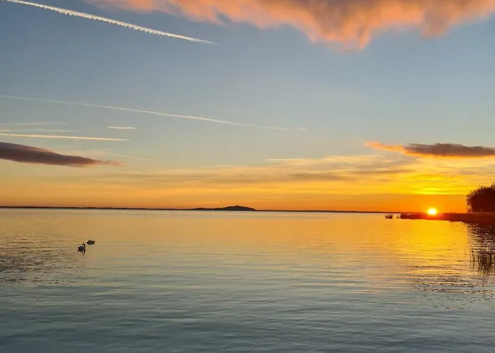 Berni בדקסוניטומאי